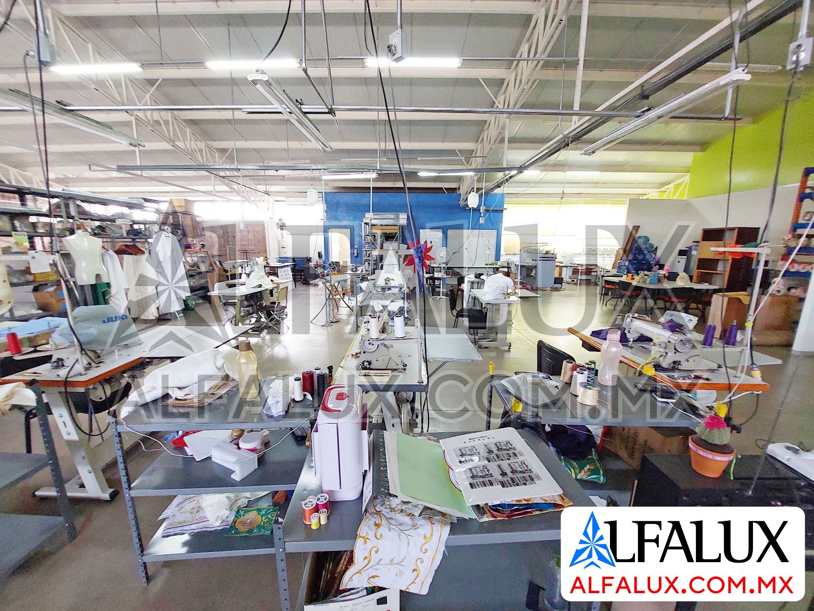 ALFALUX 4 Taller